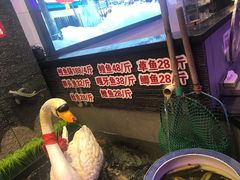 -山河屯铁锅炖(哈西站店)