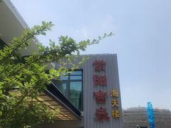 -紫阳富豪大酒店(惠南店)
