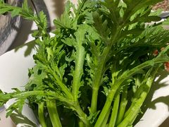 如皋茼蒿菜-左庭右院鲜牛肉火锅(浦江欢乐颂店)