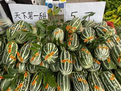 -蒲河大集