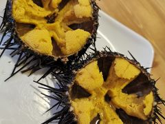 -海胆小馆(东北水饺·春柳店)