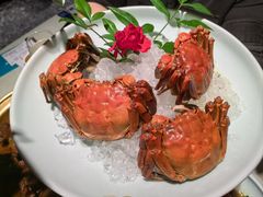 -金典银峰老鹅馆·昆山菜(亭林公园店)