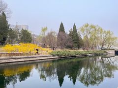 -元大都城垣遗址公园