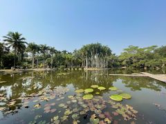-中国科学院西双版纳热带植物园
