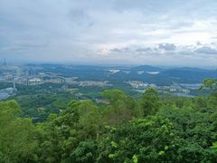 -水濂山森林公园