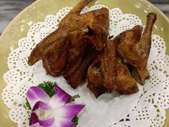-鸽鸟轩(石岐店)