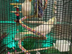 -火舞泰·泰式海鲜火锅餐厅(世纪城店)