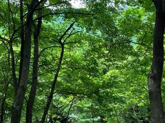 -本溪老边沟风景区