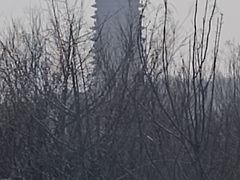 -永定河休闲森林公园