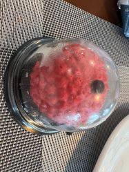 -优沃得自然教育农场·冰雪乐园·生日会·研学