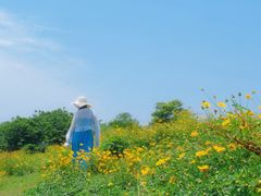 -良渚古城遗址公园