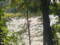 -水濂山森林公园