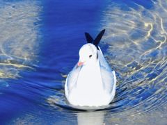 -丽江泸沽湖景区