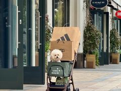 -比斯特上海购物村精品奥特莱斯