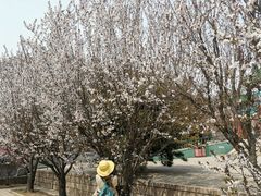 景点-居庸关长城