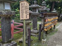 -奈良公园