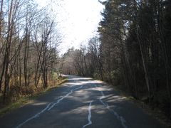 景点-五营红松林海景区