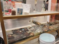 -十八字金银饰·拼豆·开蚌手工体验团建(君太百货店)
