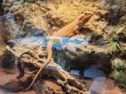 -酷嗒动物文化乐园(cutezoo西溪乐天城店)