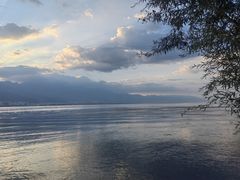 -洱海月湿地公园