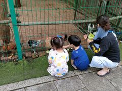 -大鹅岛绿色生态美食园