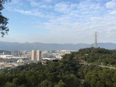 -金鸡山公园