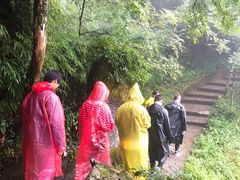 -梦幻奥陶纪景区