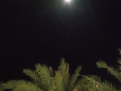 -台山颐和温泉城