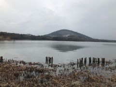 -长广溪湿地公园