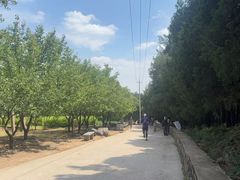 -北京鹫峰国家森林公园