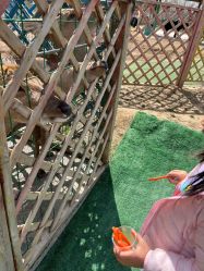 -萌宠亲子动物乐园(槐房万达店)