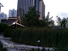 -活水公园