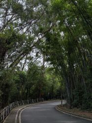 -禧月荟·爱丽馨御景月子中心