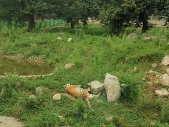 -西安秦岭野生动物园