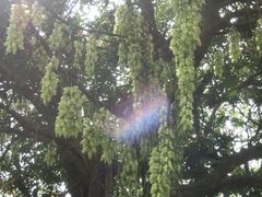 -清溪森林公园