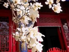 -天津大悲禅院
