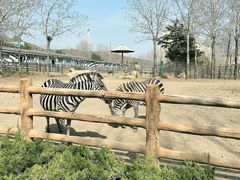 -大连森林动物园