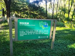 -大兴滨河森林公园