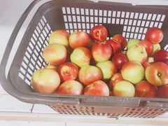 -南汇新场正宗水蜜桃采摘