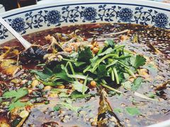 -青城甲(青城山店)