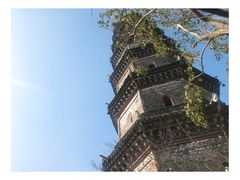 -巢湖姥山岛