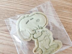 -ChanDu躔度咖啡(灯塔店)