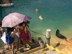 -广州市流溪河国家森林公园