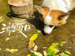 -湖洞水自然风景区