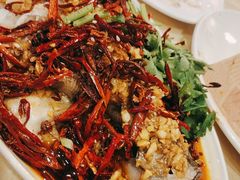 -杨氏青龙虾·羊蝎子(珠江路店)