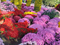 -国家植物园南园