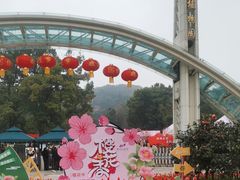 -南山植物园