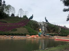 -都江堰玫瑰花溪谷