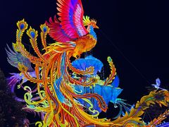 -厦门园林博览苑