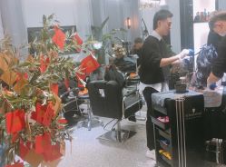 点击看大图 -TITI HAIR STYLE
